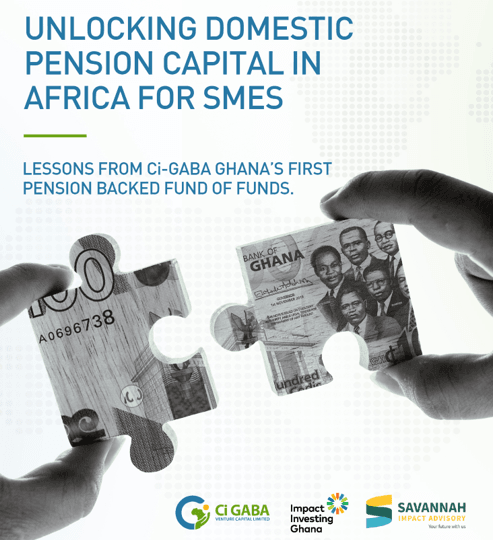 IIGh, Savannah launch framework on unlocking domestic institutional capital