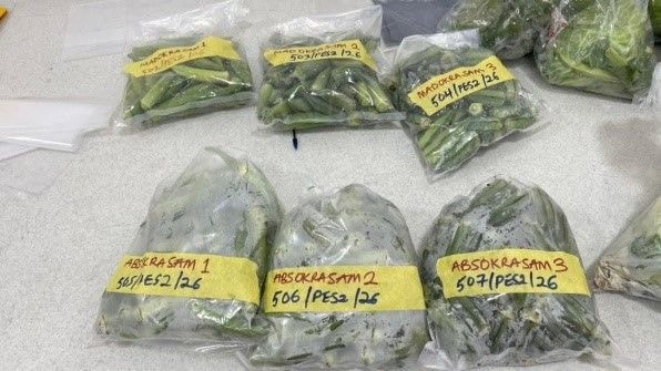 A meal under threat: The struggle with pesticide residues in vegetables