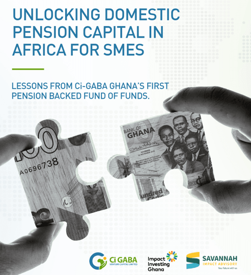 IIGh, Savannah launch framework on unlocking domestic institutional capital