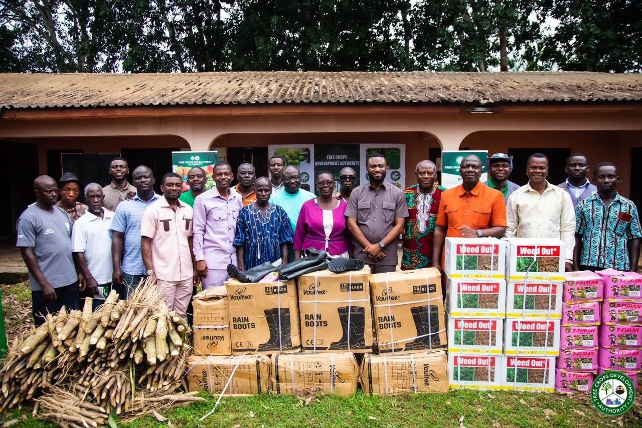 TCDA rolls out 3m rubber seedling plan