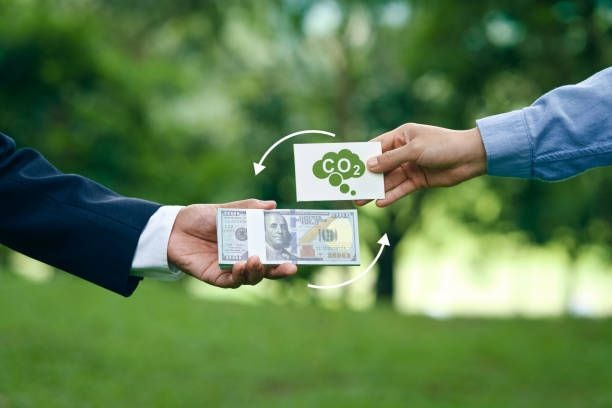 AU warns weak carbon market rules could fuel greenwashing