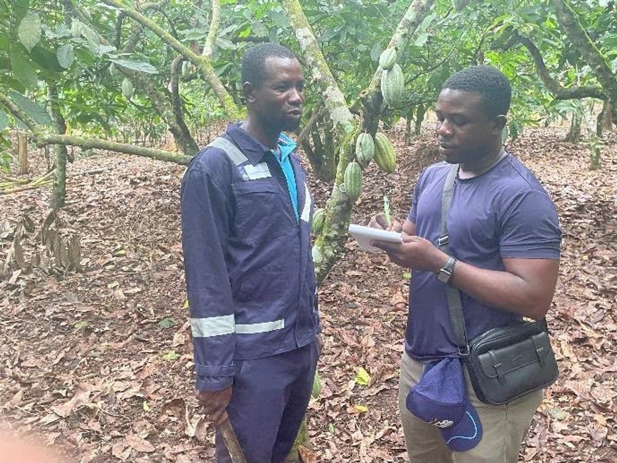 Beyond the cocoa price: An award-winning farmer’s fight to keep cocoa future alive 