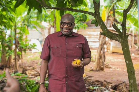 COCOBOD raises farmer price as GH¢16.3bn cocoa financing takes shape