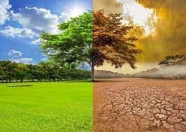 Climate change  … My perspective