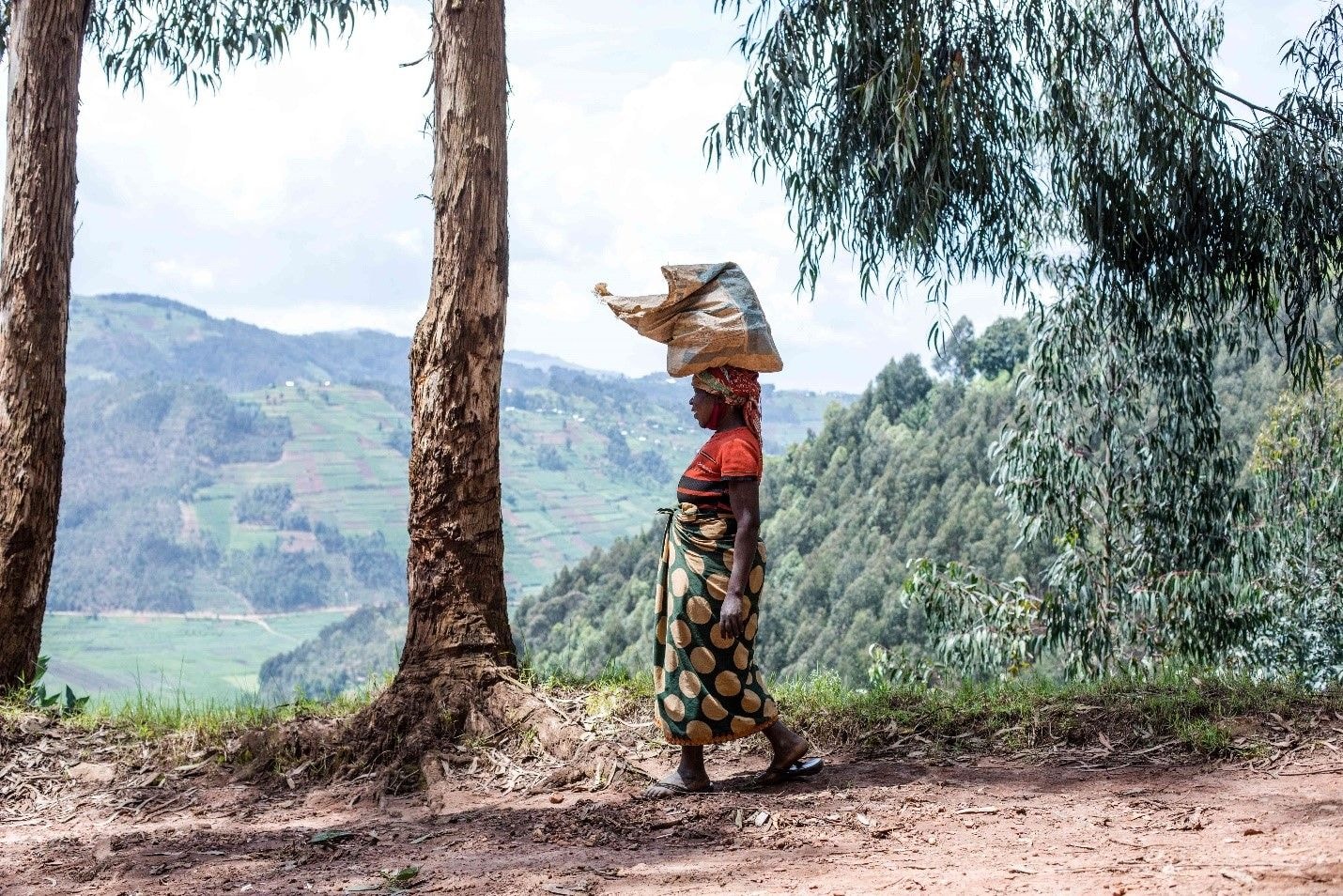 2022: Africa’s practical realities on energy and climate change