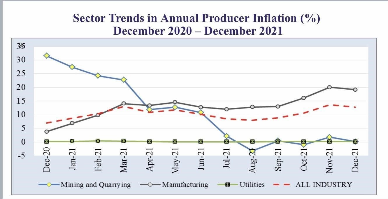 Producer price inflation closes the year at 12.8%
