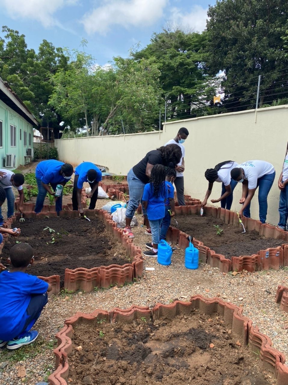 School Gardens: choosing what to grow, Vegetables or herbs