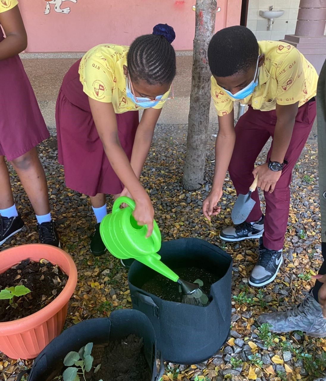 Gardening in the dry season