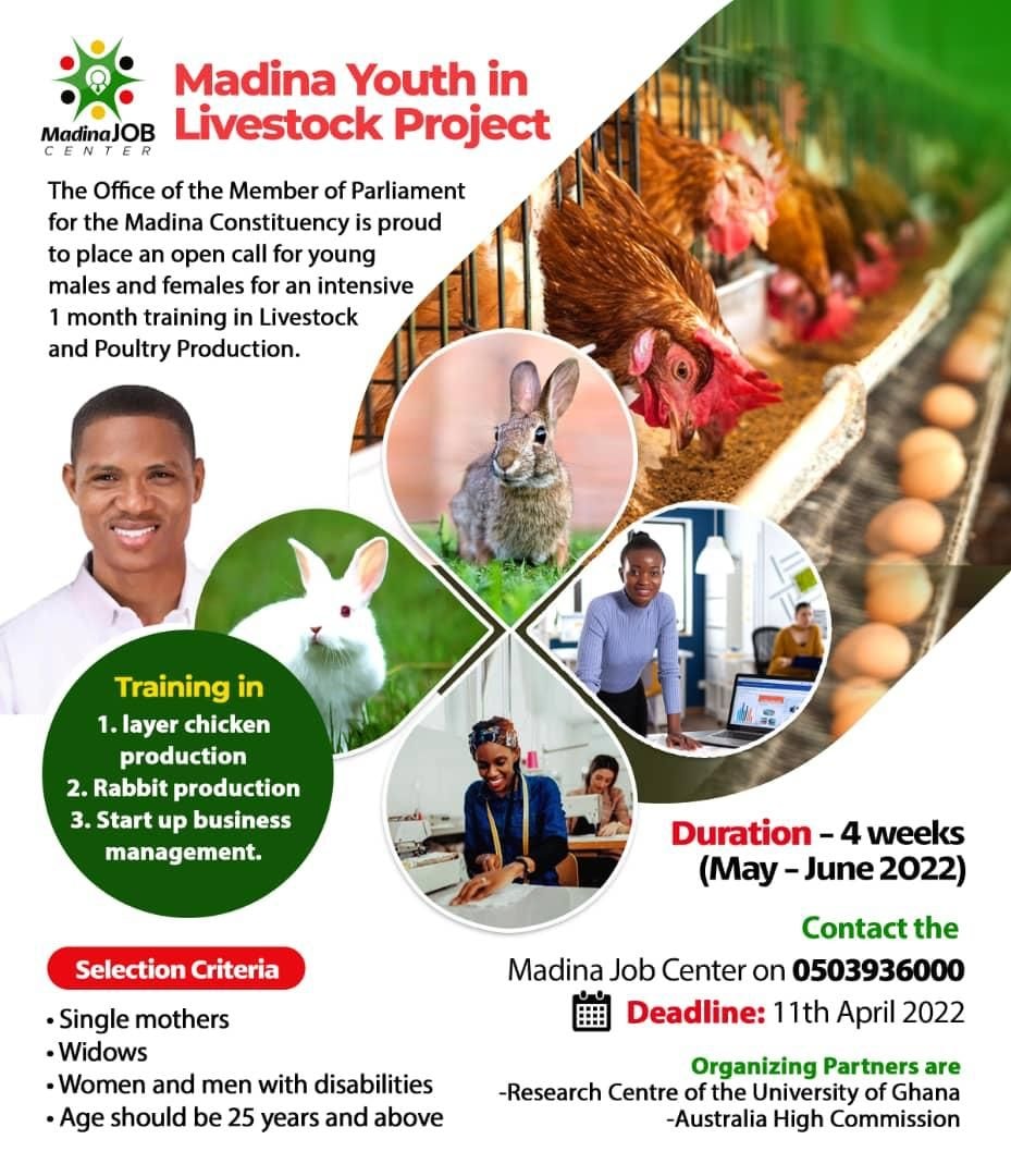 Announcing the Madina youth and women in agriculture project - Phase 2