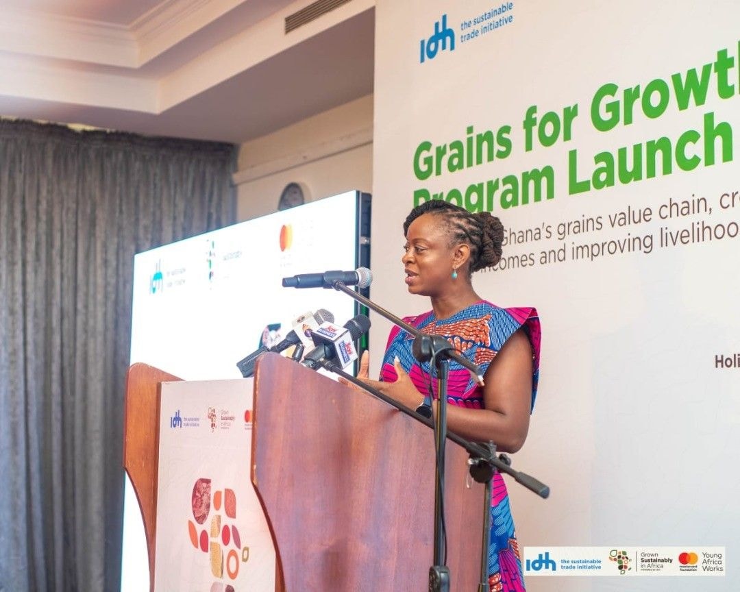 Mastercard Foundation, IDH partner to strengthen grain market