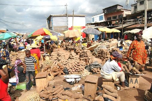Exim Bank commits US$10m to yam export