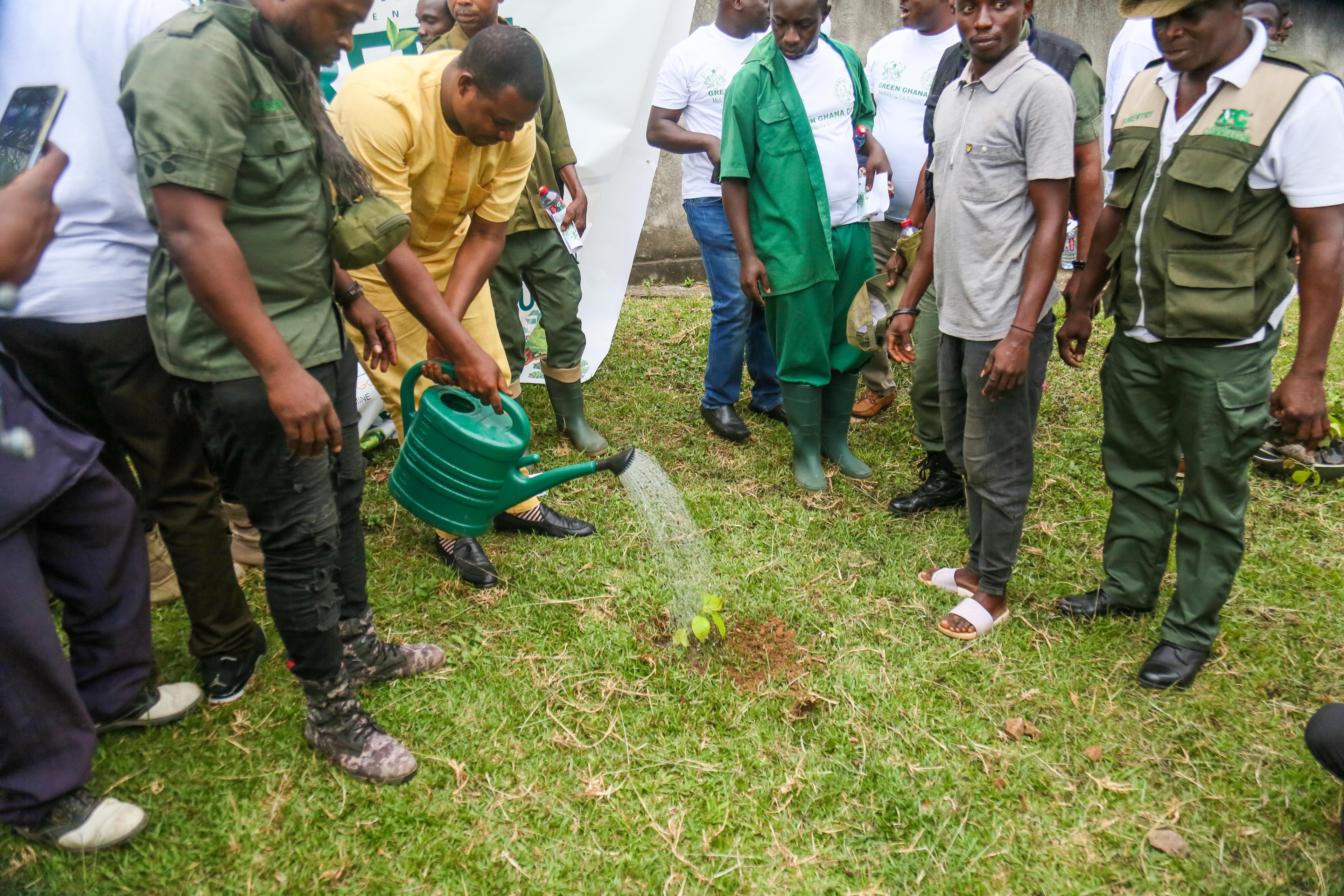Obuasi Municipal Assembly to grow more trees to combat climate change