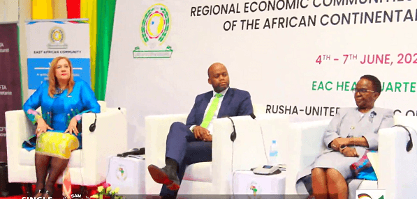 AfCFTA boss engages heads of RECs on status of single continental market