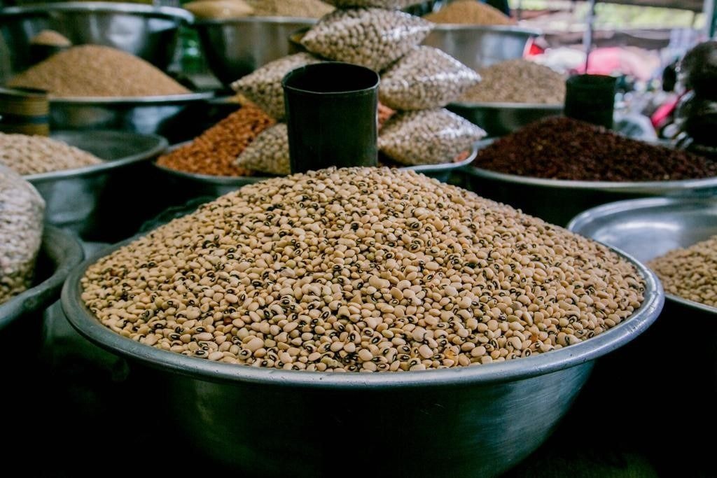 A defining moment in the GMO journey beckons