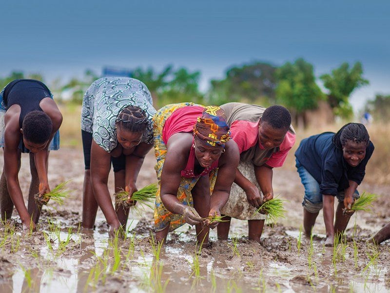 Mobilising to create sustainable markets for women farmers