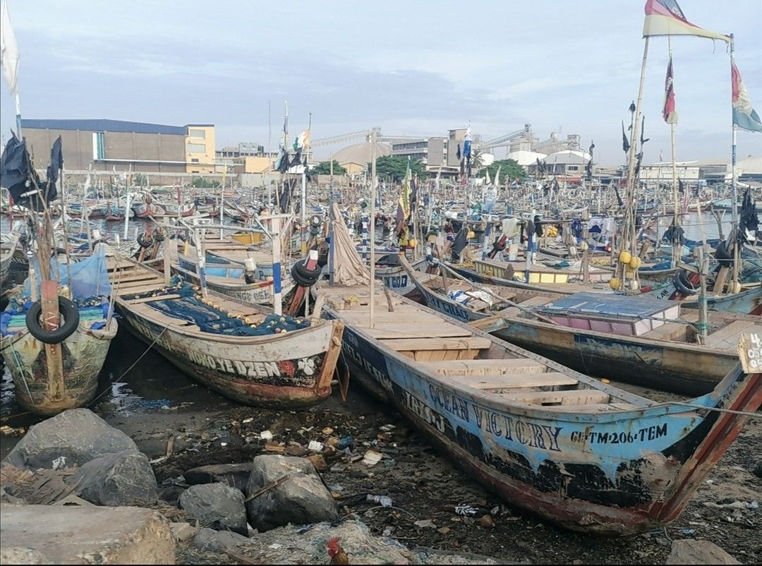 Fishermen record bumper harvest after end of Closed Season