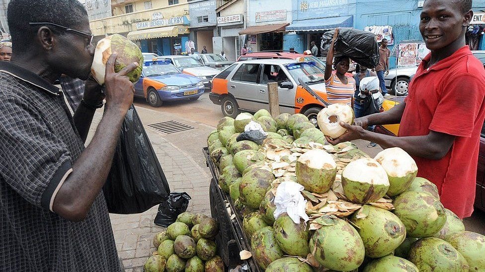 Gov’t backs coconut sector for increased revenues, growth