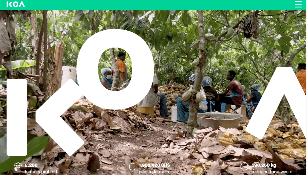 KOA'S business exploits in the cocoa sector (1)