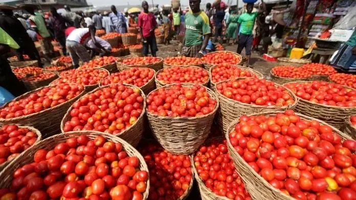 The agricultural sector, a case study on tomatoes