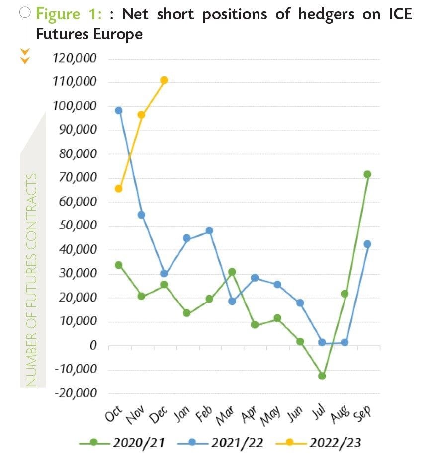 Cocoa prices likely to move downward - ICCO