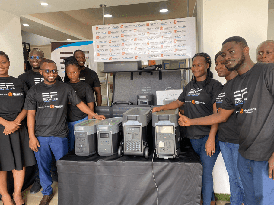 Invest in Eco friendly generators for sustainable businesses - Diana Nyarko-Danquah