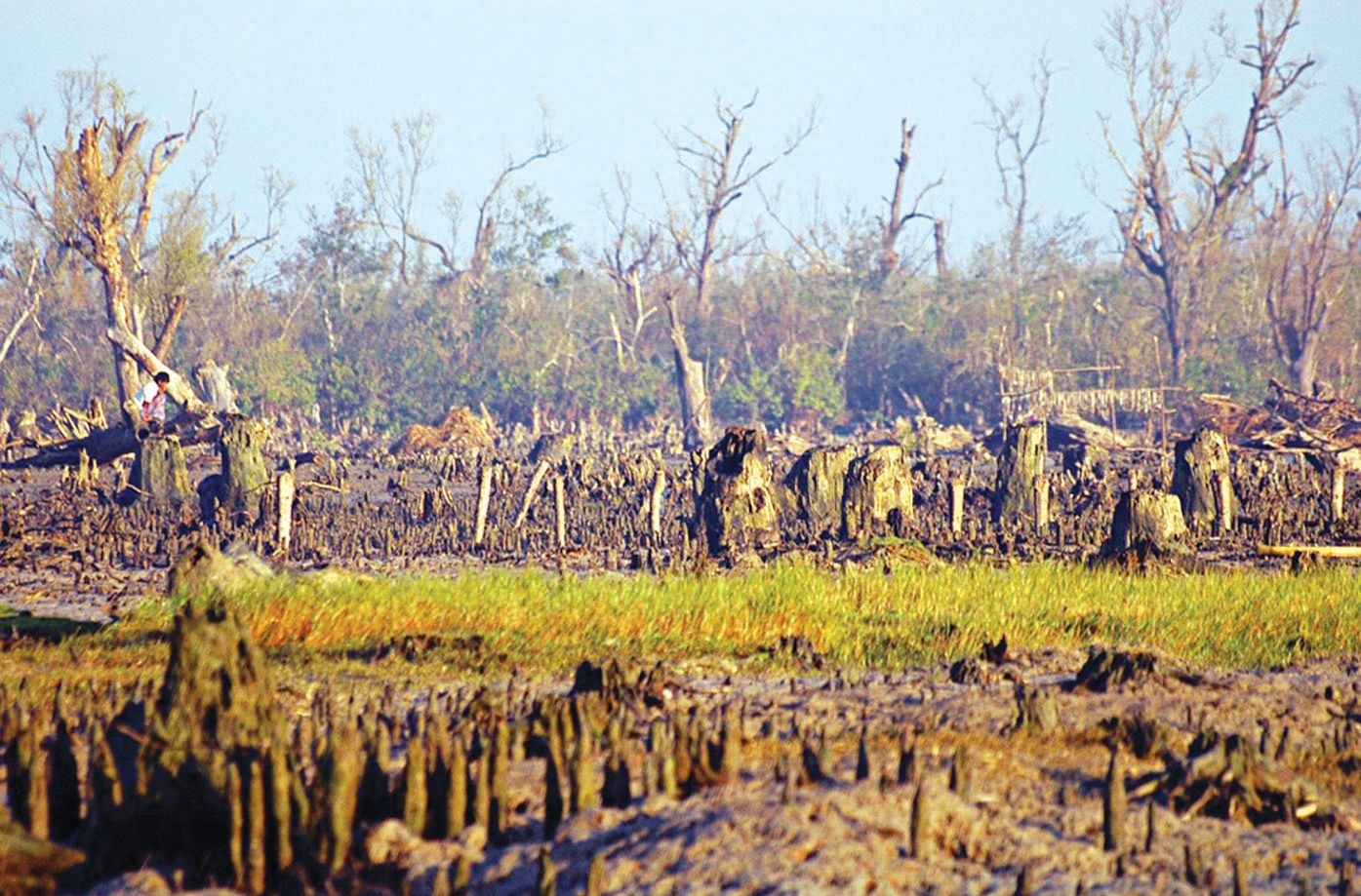 Climate Prosperity Plan to be held tomorrow