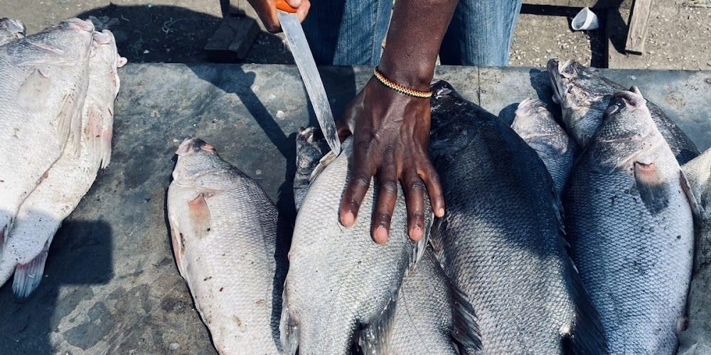 MP seeking to stop Chinese fish from flooding Kenyan market