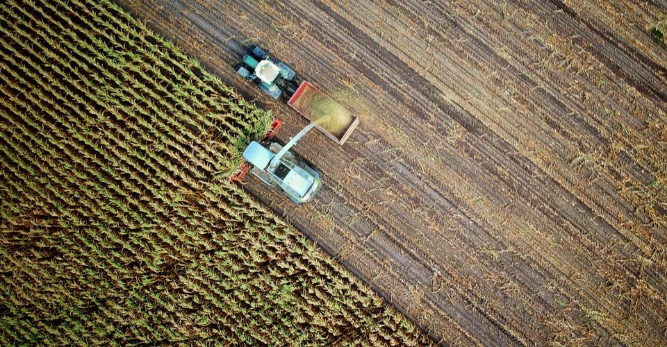 Potential impacts of recently introduced taxes on agribusiness