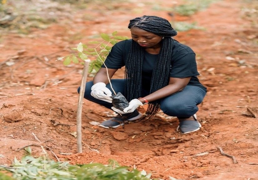 Environmental sustainability through PR practices   