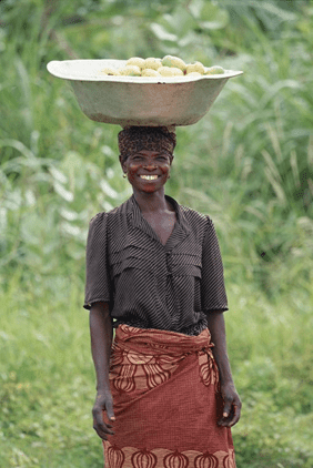 Championing crowdfunding – critical lessons and significant milestones after three years of implementation under GrEEn project