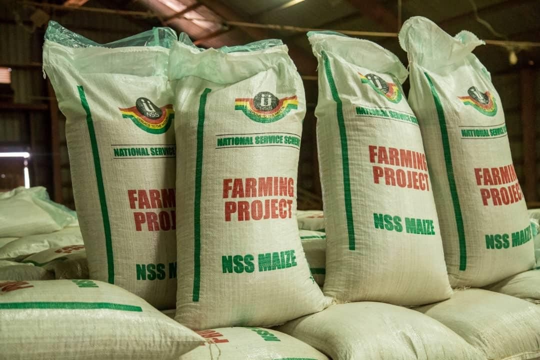 Editorial: NSS drives interest in agriculture among youths