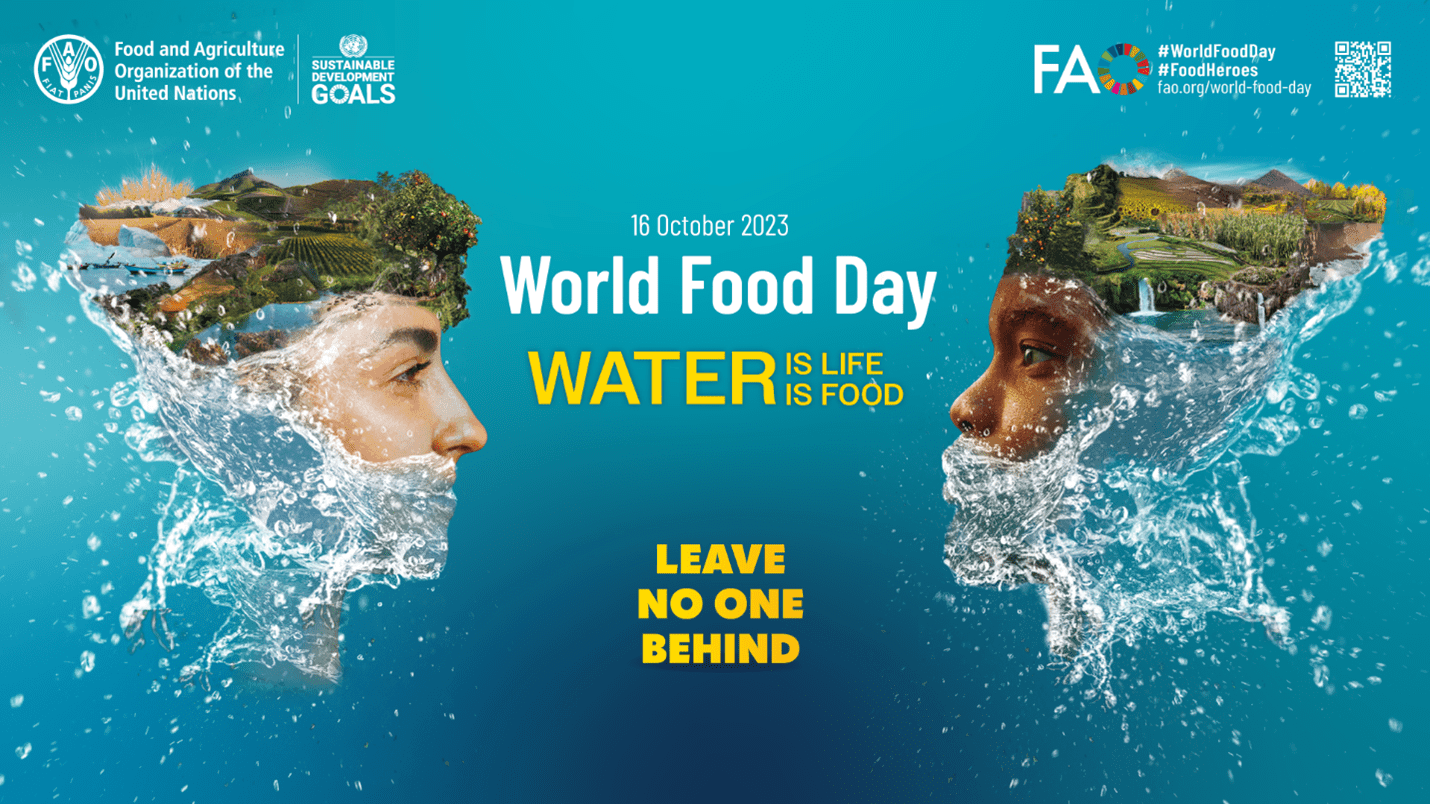 Water: The lifeline of food security