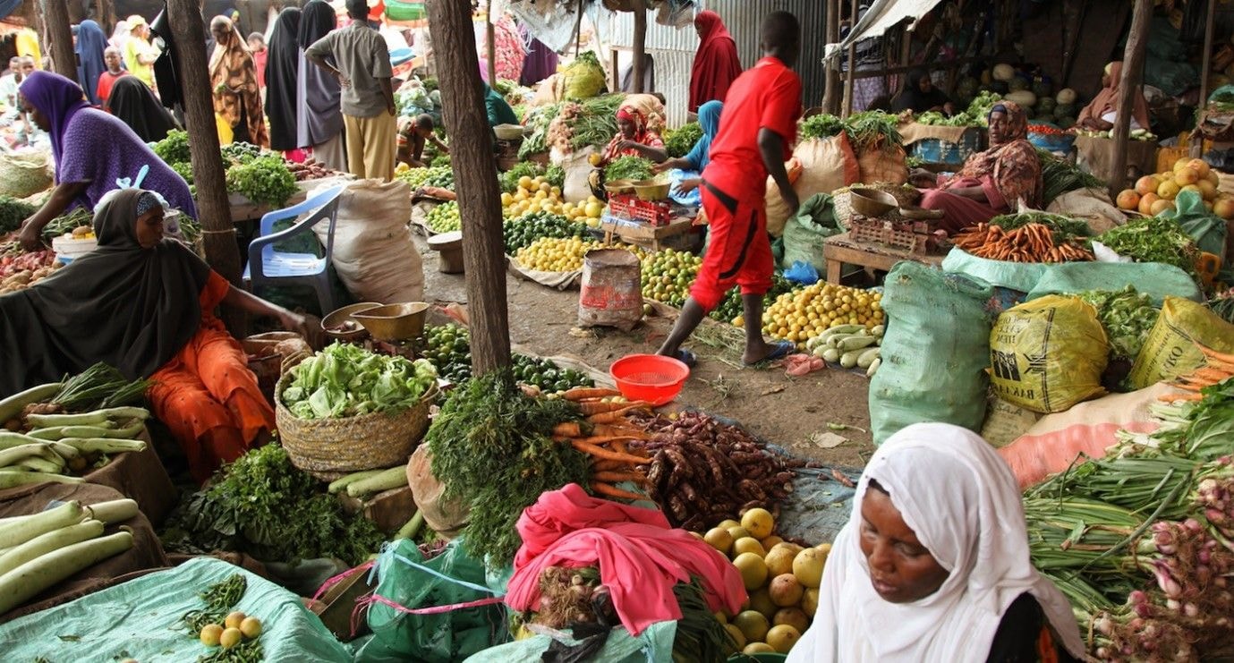Nutritious diets too costly for pregnant women, adolescent girls - study