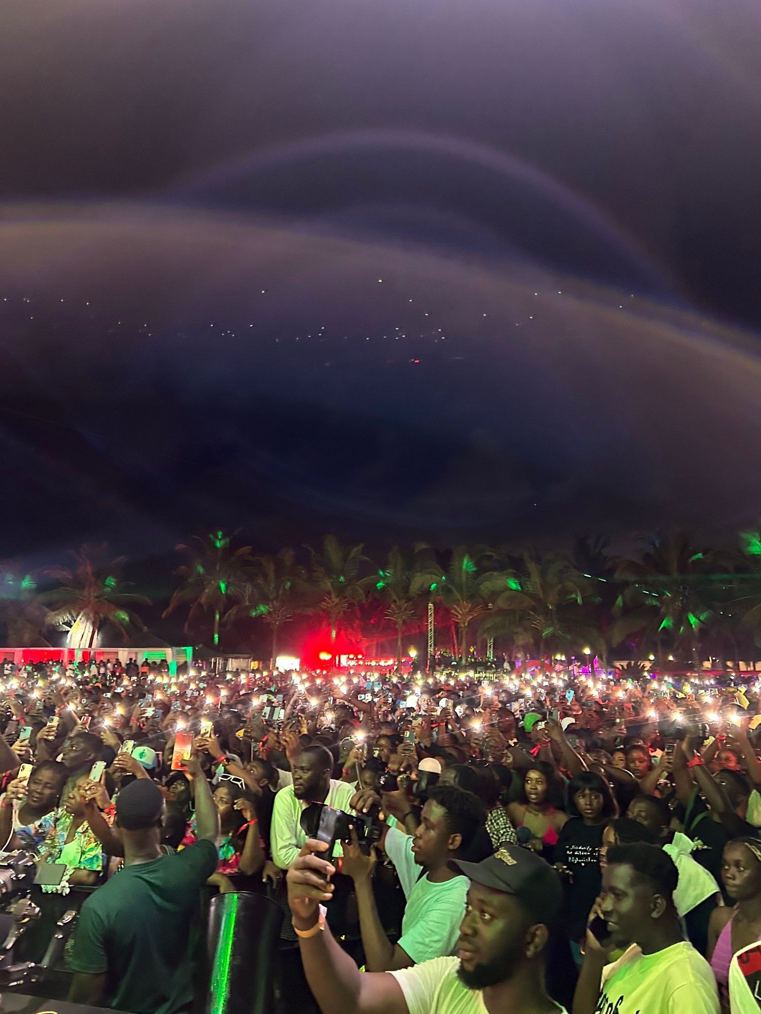 Co-creating with brands: How brand engagement went beyond logo placement at Tidal Rave Festival