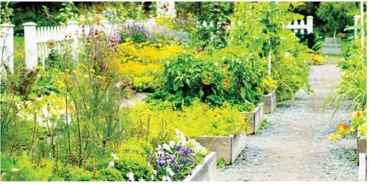 Stratcomm Africa gears up for February edition of Ghana Garden & Flower Show