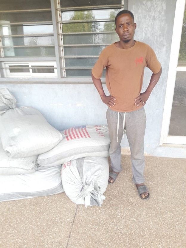 Man jailed 7 years for cocoa smuggling