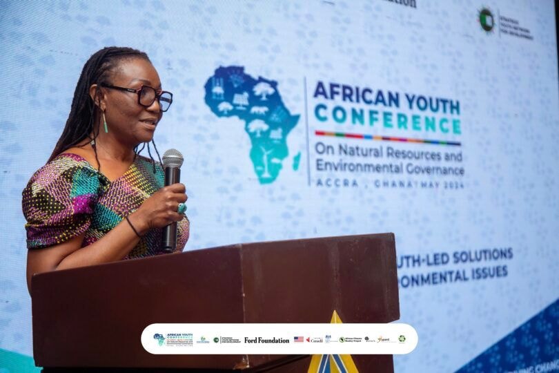 Africa's Green Minerals' future hinges on innovation, youth involvement- NGRI director