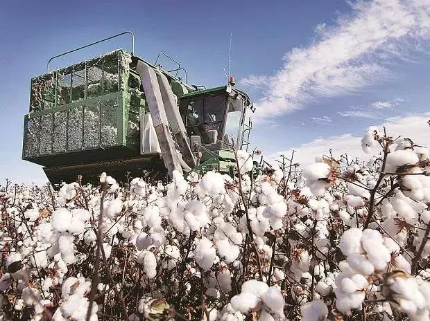 US$6bn Africa cotton market eluding local economy