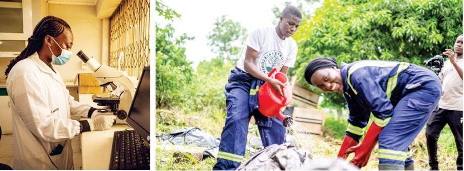 Empowering youth in agriculture through mentorship and capacity building