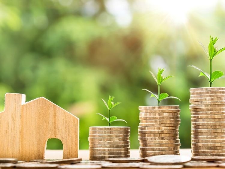 Equities regaining foreign investor interest