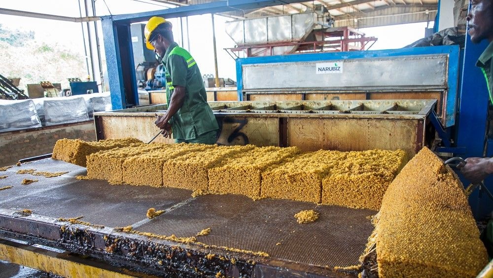 Reviving the natural rubber sector for economic growth: GIRSAL's contribution to the sector 