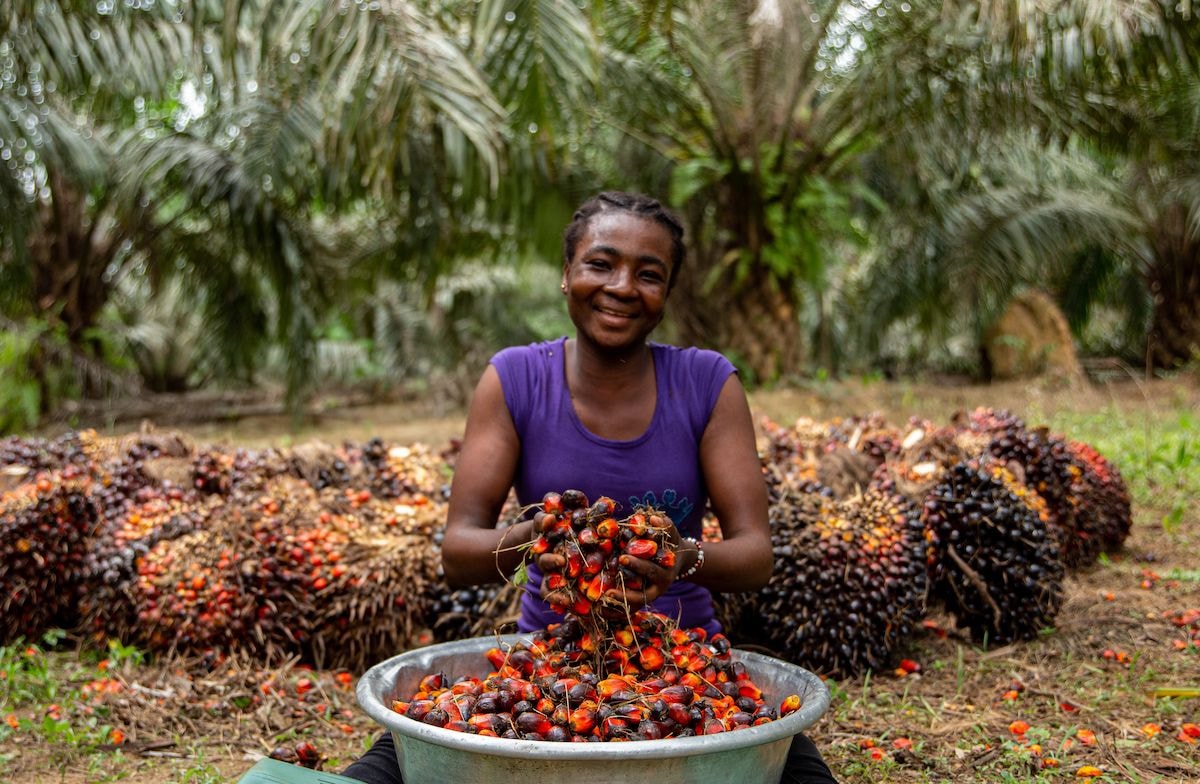 Oil Palm Dev’t Company acquired in US$125m deal