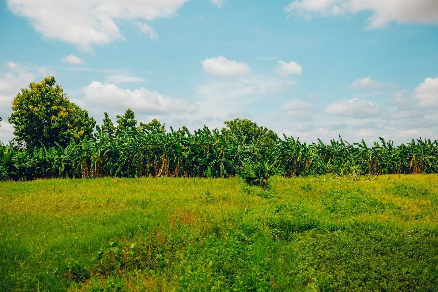 KIC start-ups are championing eco-friendly innovations towards a sustainable future
