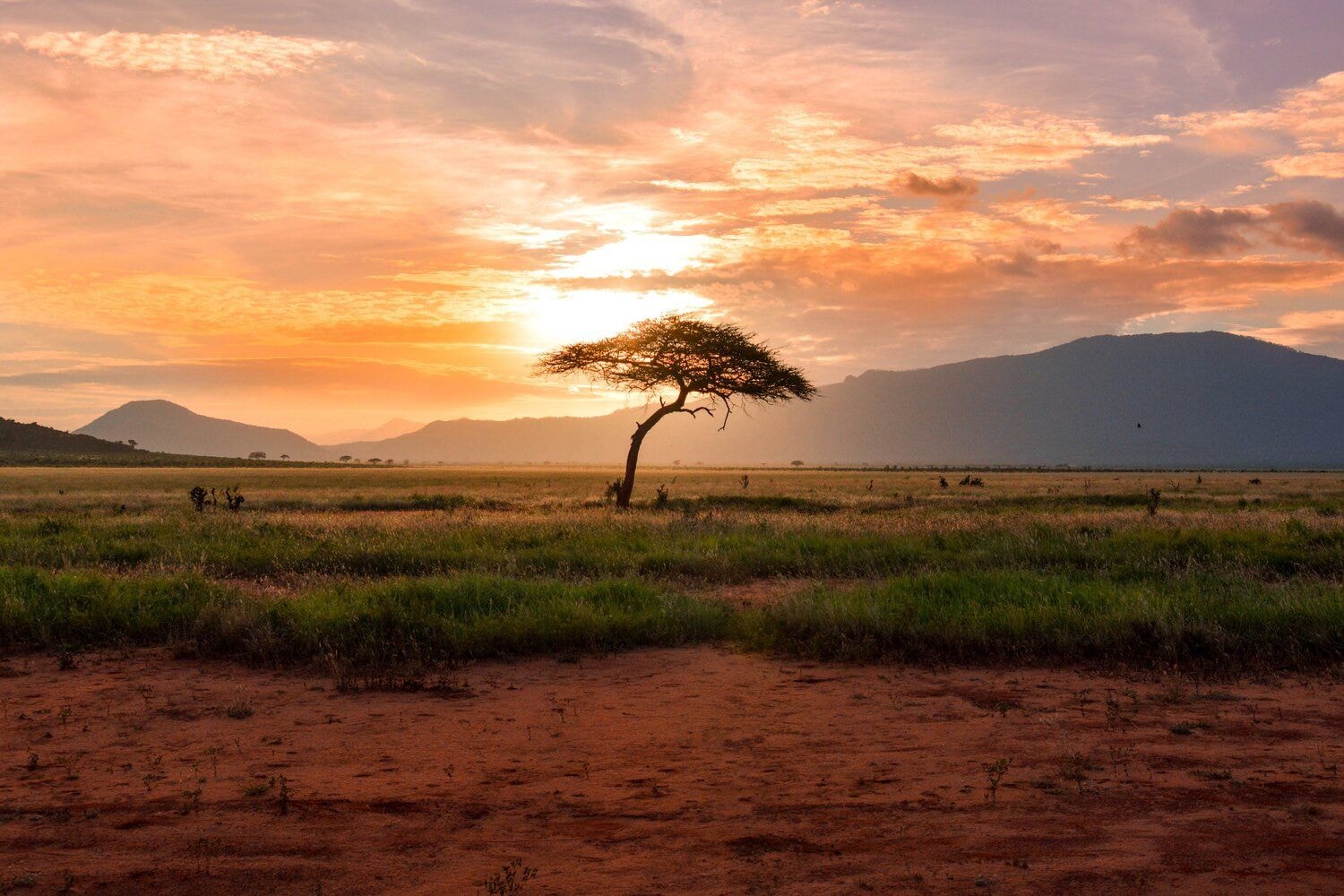 COMMENT AND ANALYSIS: Putting Africa on the path to prosperity