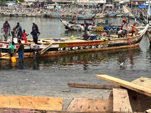 From abundance to scarcity: How  fishing has transformed over the years