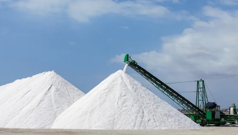 Editorial: US$1billion annual salt revenue by 2028
