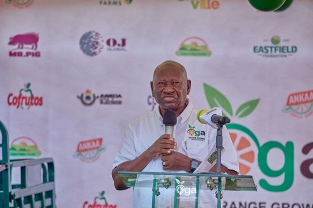 Orange Growers Association to boost nation’s share of global market