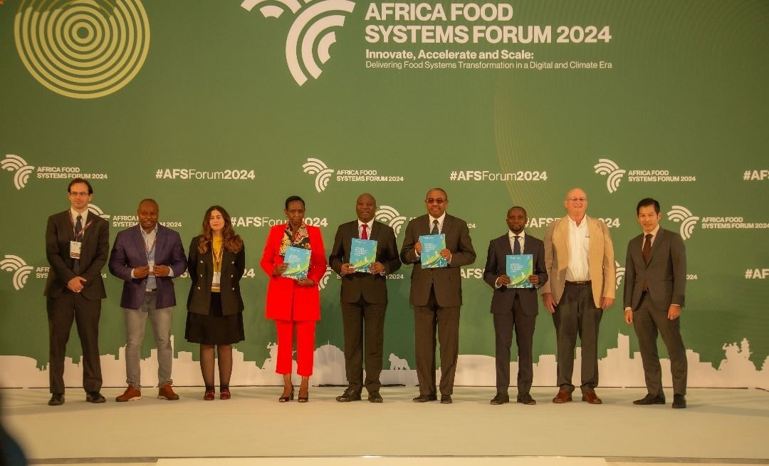 Collaborate to achieve greater sustainability and resilience - Africa urged