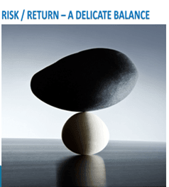 Concentration risk in financial institutions: The case for strategic balancing