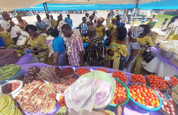 Gov’t urged to address gender inequalities in agric, fisheries